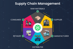 Why Supply Chain Management is Becoming a Hot Career Field