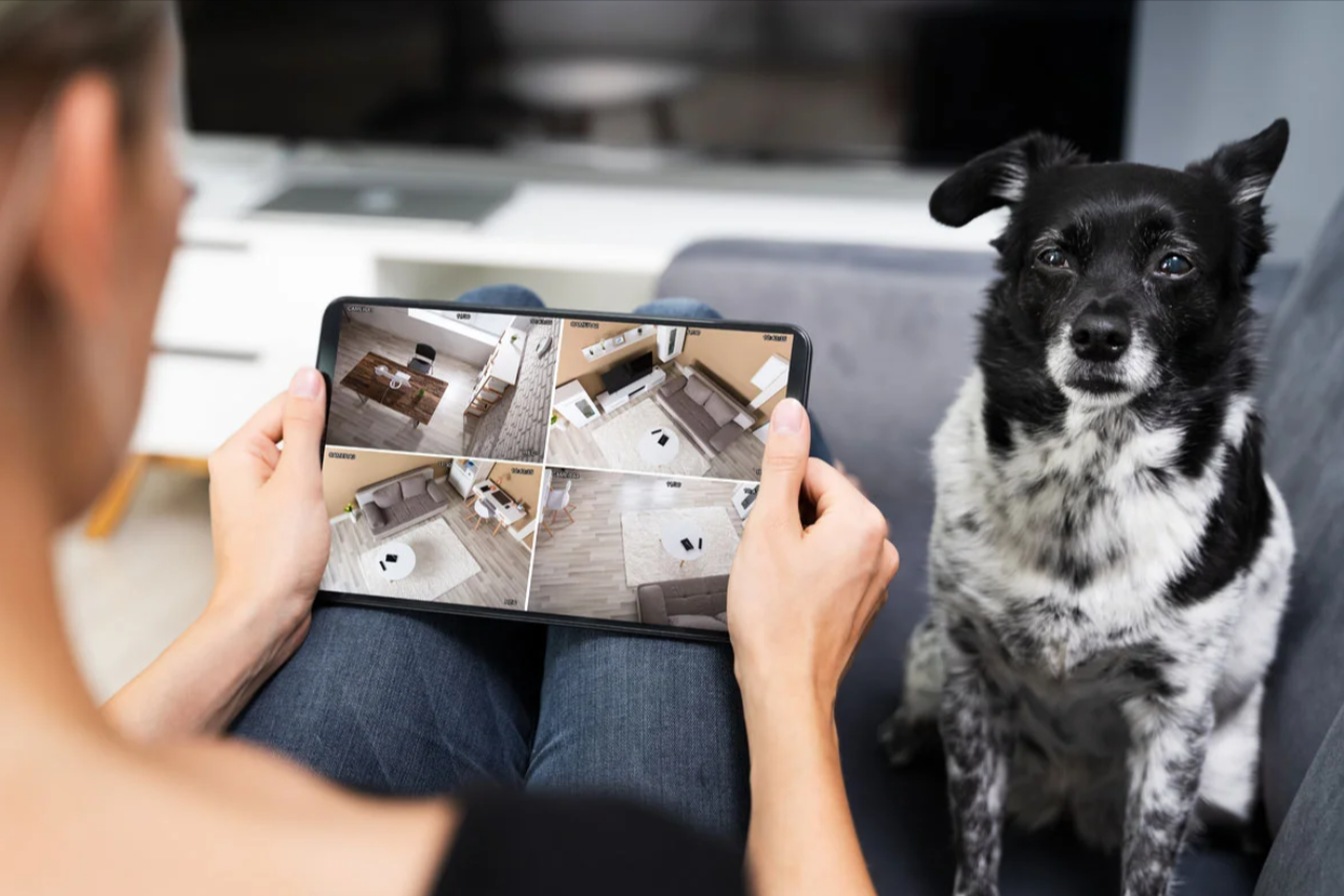 AI-Powered Pet Training: The Future of Obedience Training