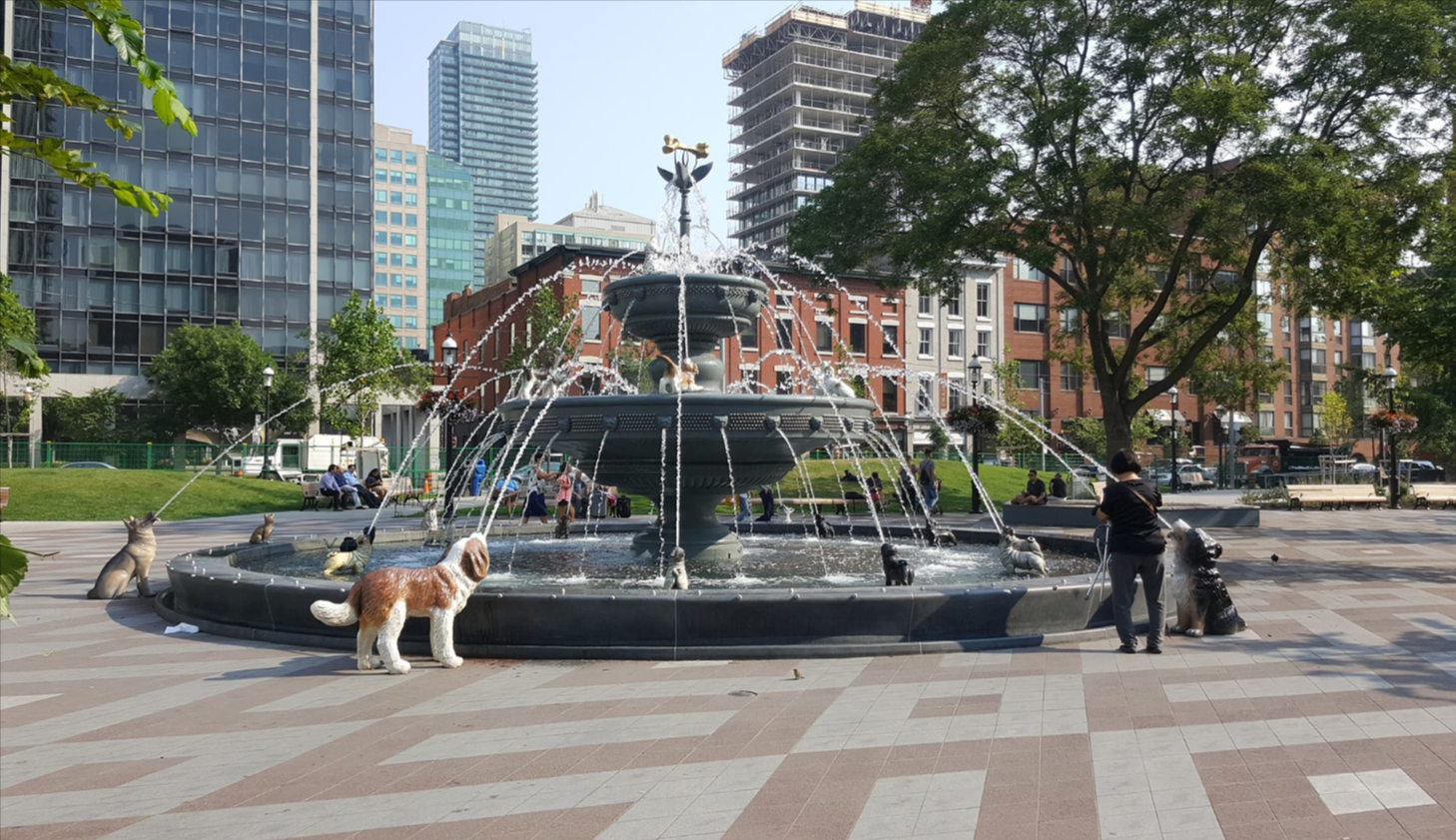 How Cities Are Designing Pet-Friendly Infrastructure